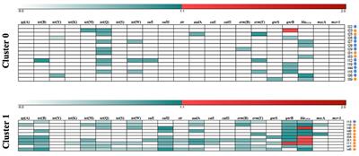 Occurrence and Quantification of Antimicrobial Resistance Genes in the Gastrointestinal Microbiome of Two Wild Seabird Species With Contrasting Behaviors